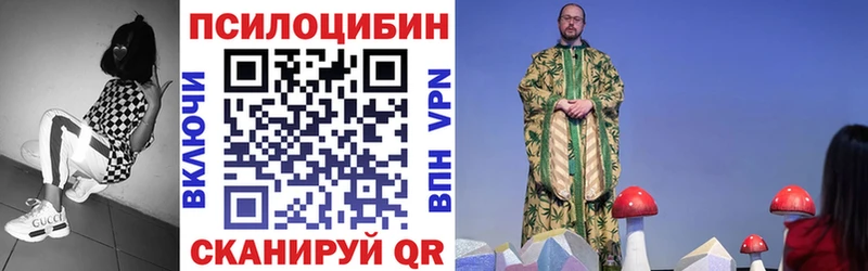 Псилоцибиновые грибы Psilocybe  закладка  Губкин 